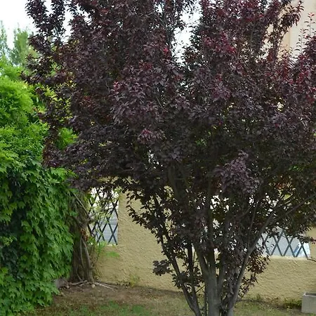 Apartmán Marilena
